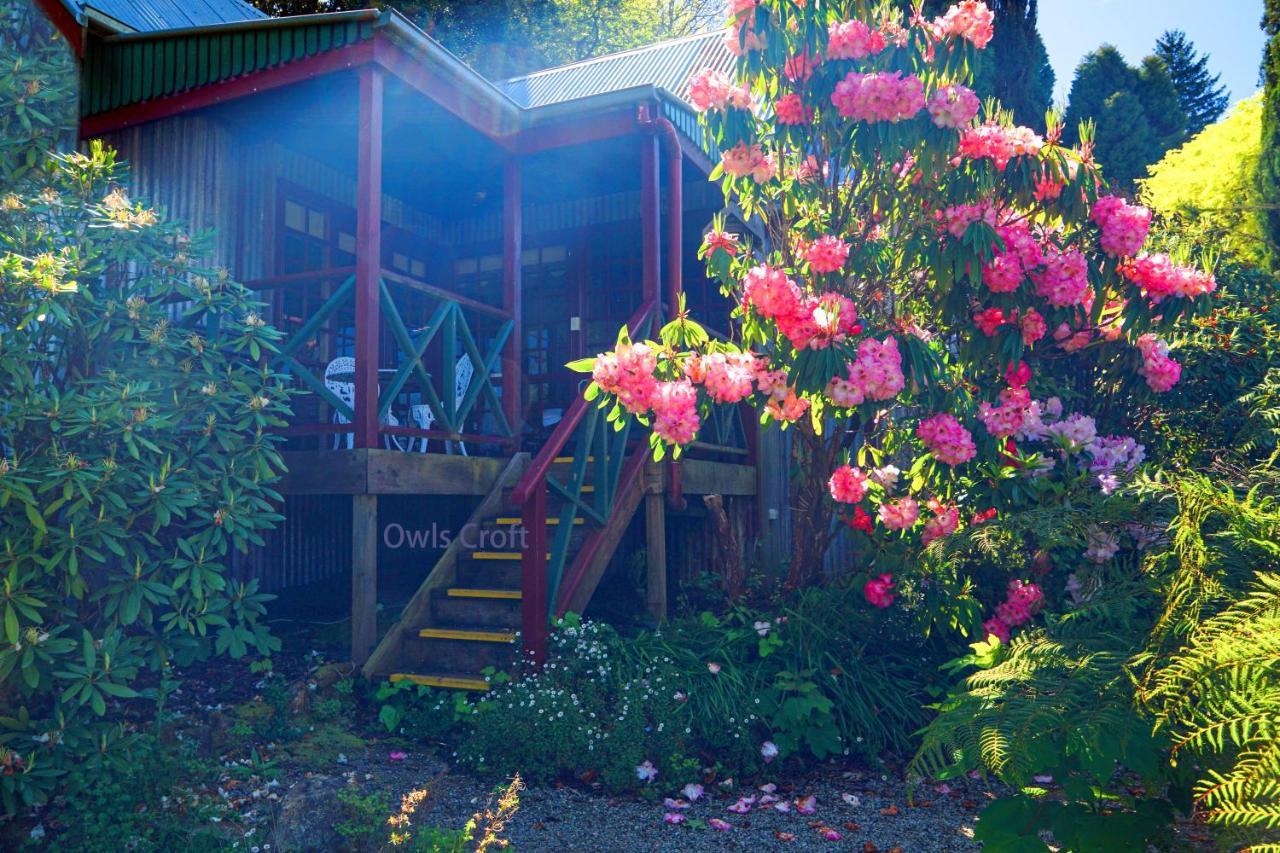Observatory Cottages Mount Dandenong Exterior photo